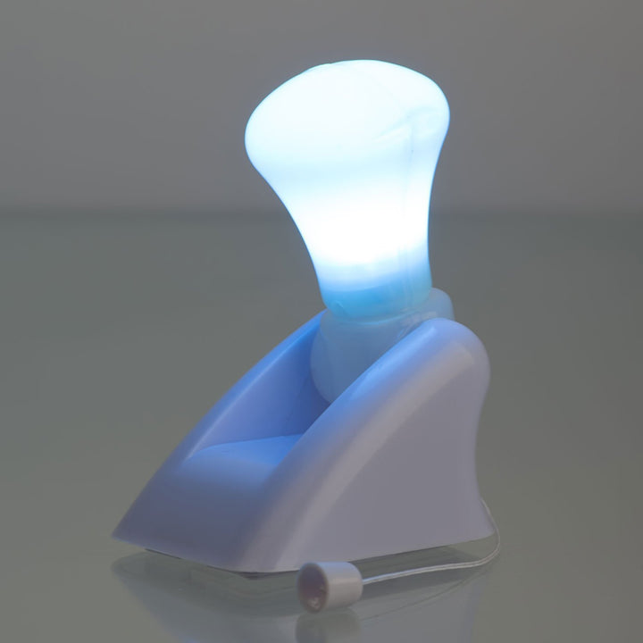 Decorative Solar Garden Light