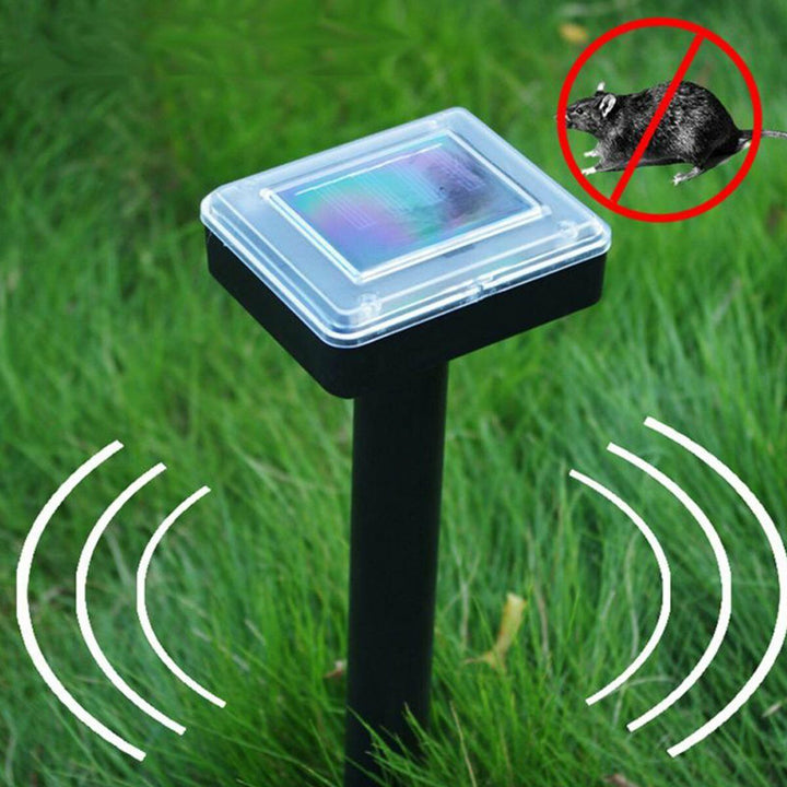 Solar Path Lights