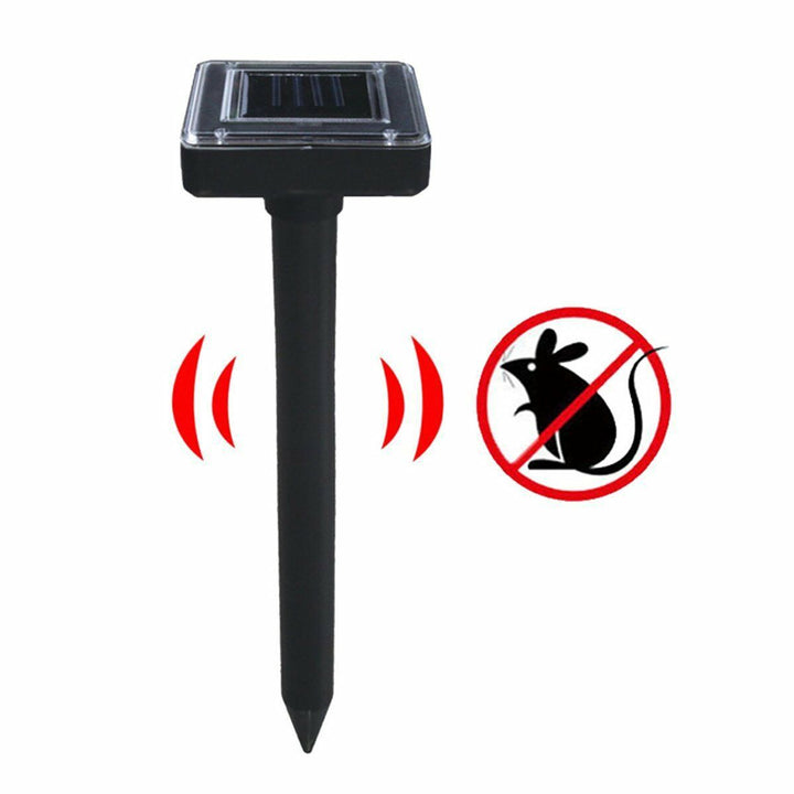 Solar Path Lights