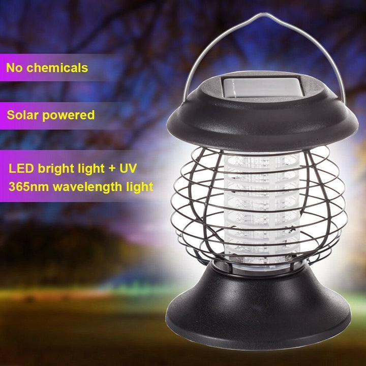 Decorative Solar LED Garden Stake Lights