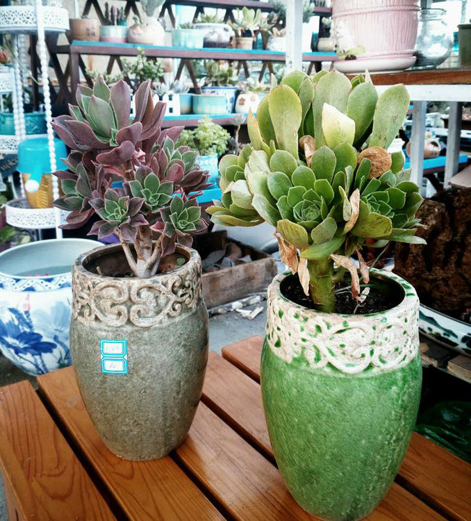 Domestic Flower Vase