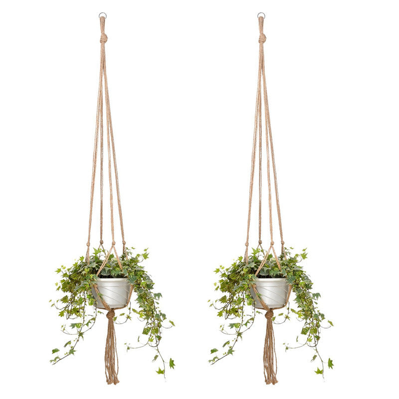 Hanging plant holder
