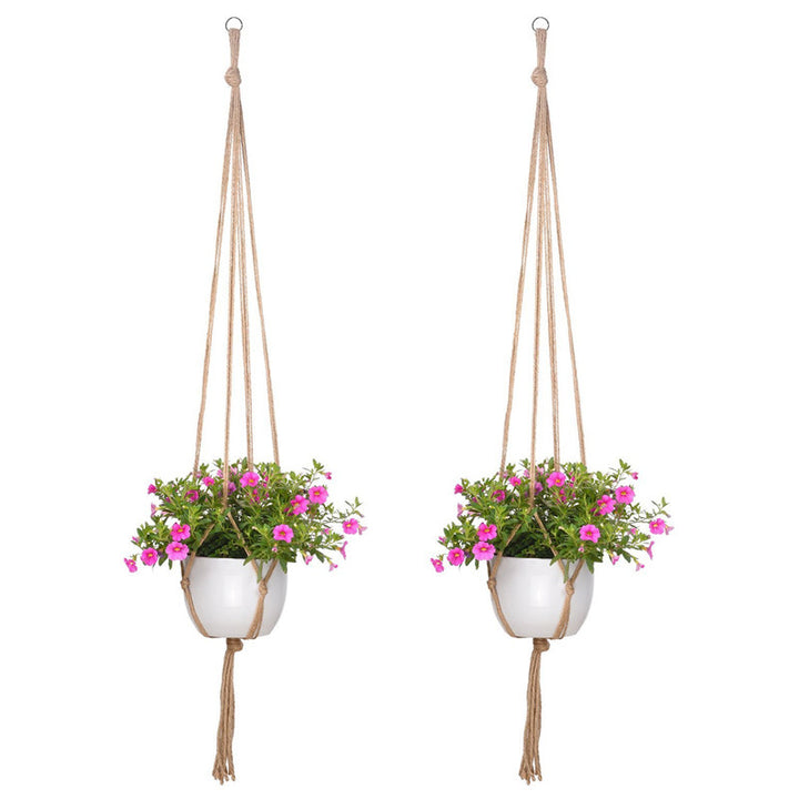 Hanging plant holder