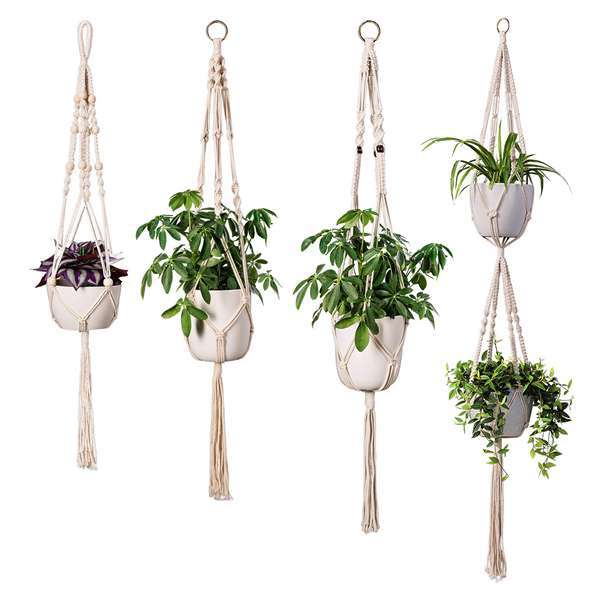 Macrame Plant Hanger
