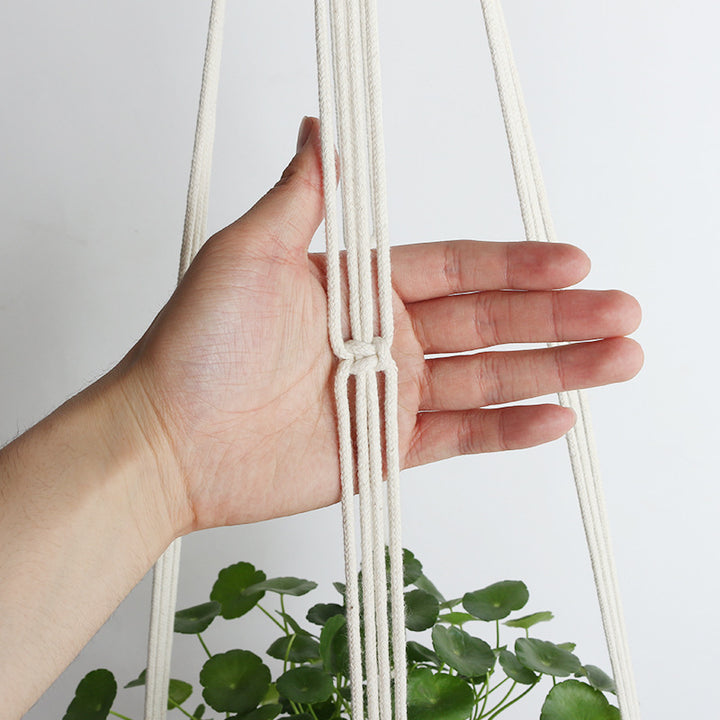Hanging plant holder