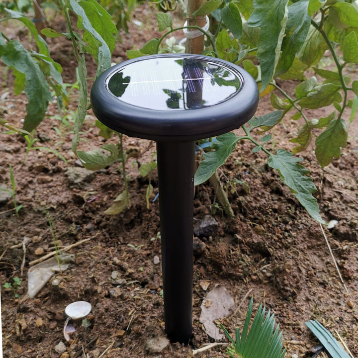 Solar-powered LED landscape light
