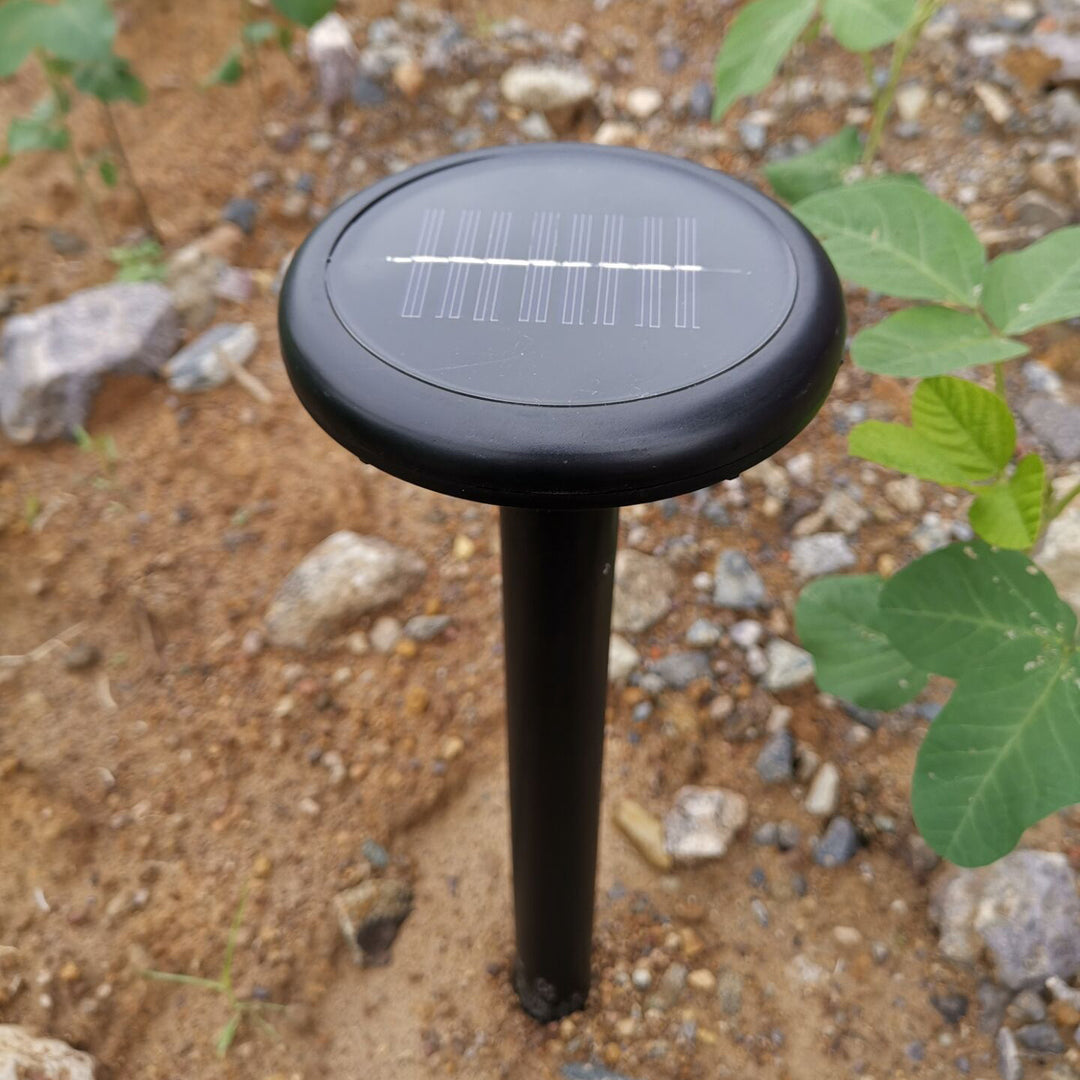 Solar-powered LED landscape light
