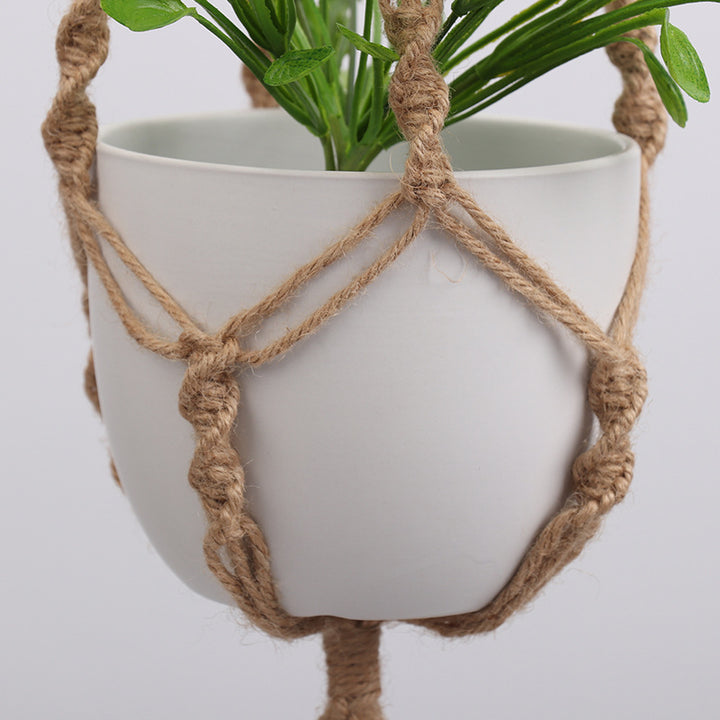 Hanging plant holder
