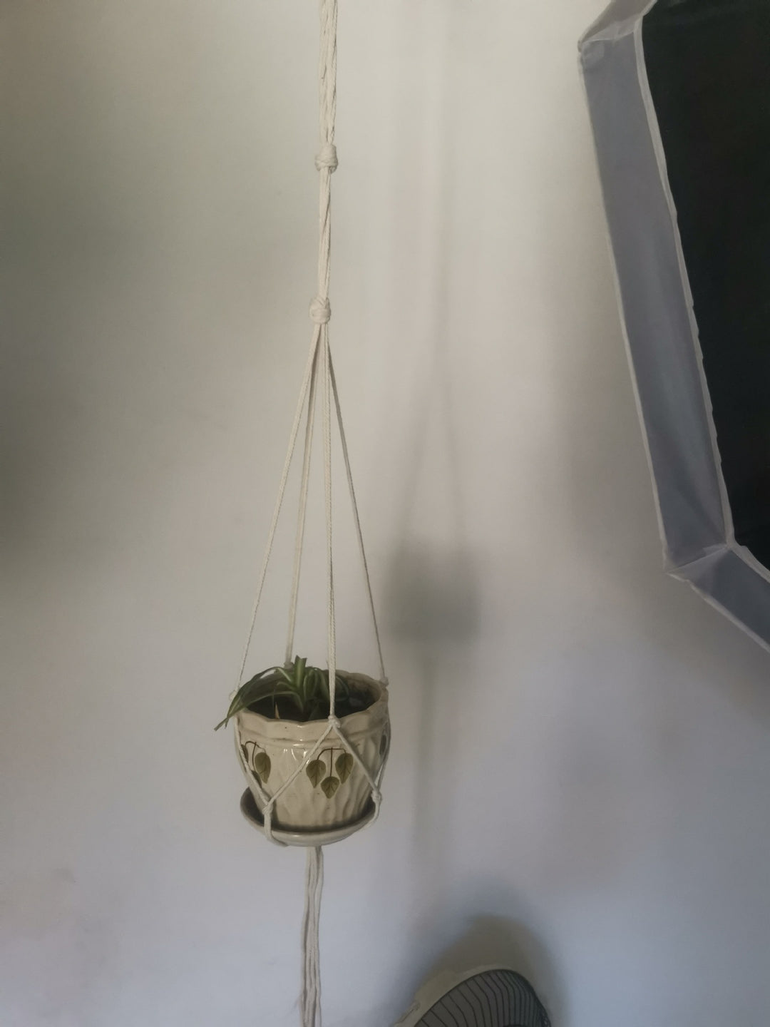 Hanging Macrame Plant Holder