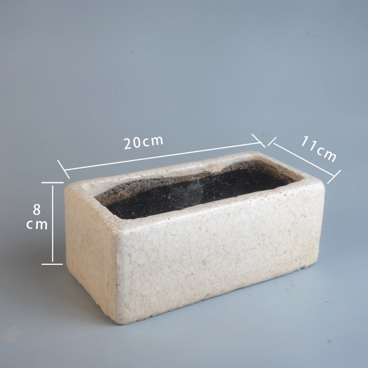 Avarnia Planter