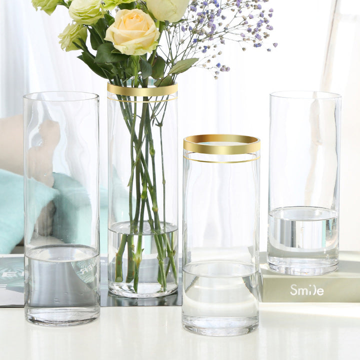 Decorative Glass Vase for Home Decoration