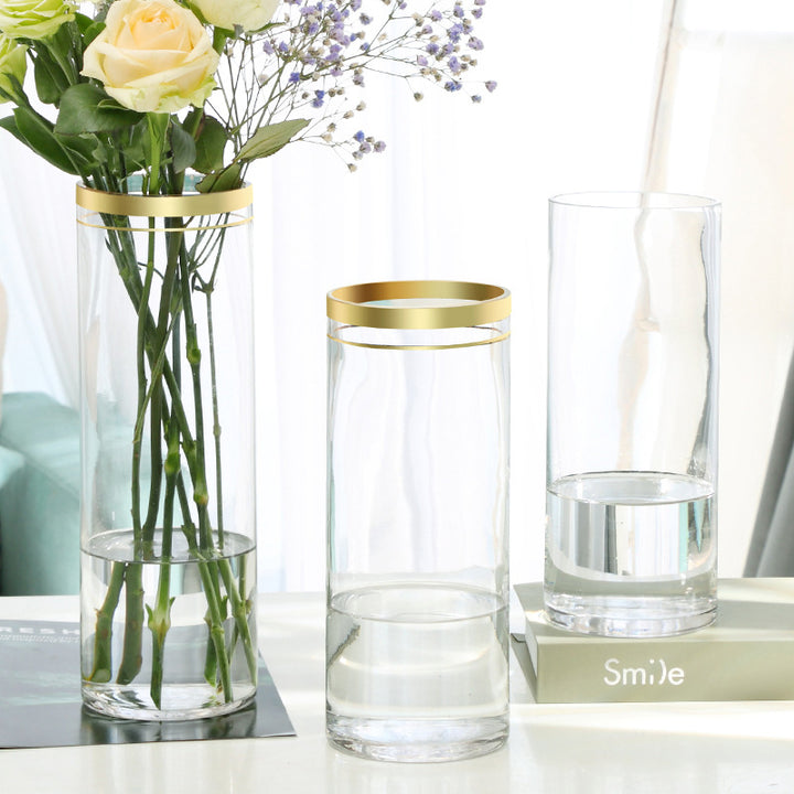Decorative Glass Vase for Home Decoration