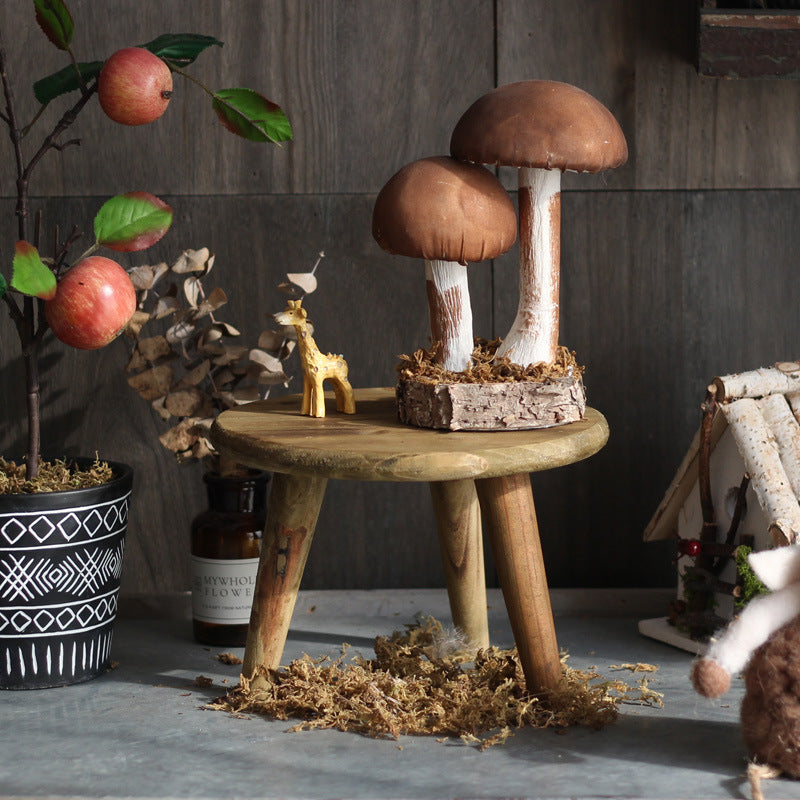 Stylish wooden footstool