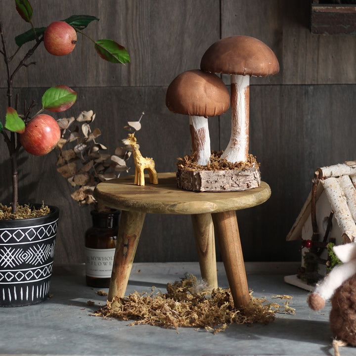 Stylish wooden footstool
