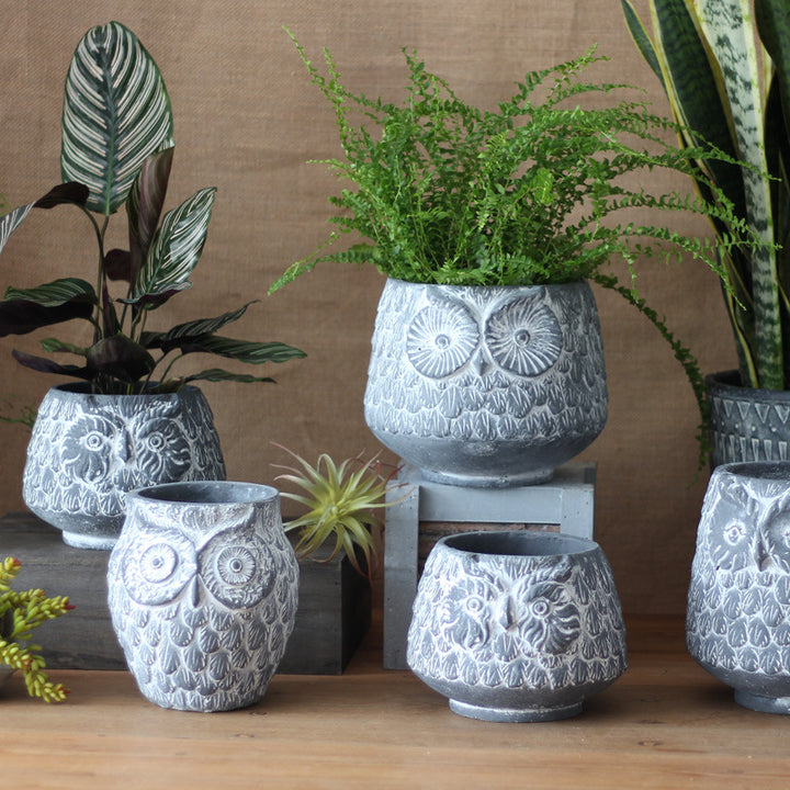 Decorative Owl Ceramic Pot