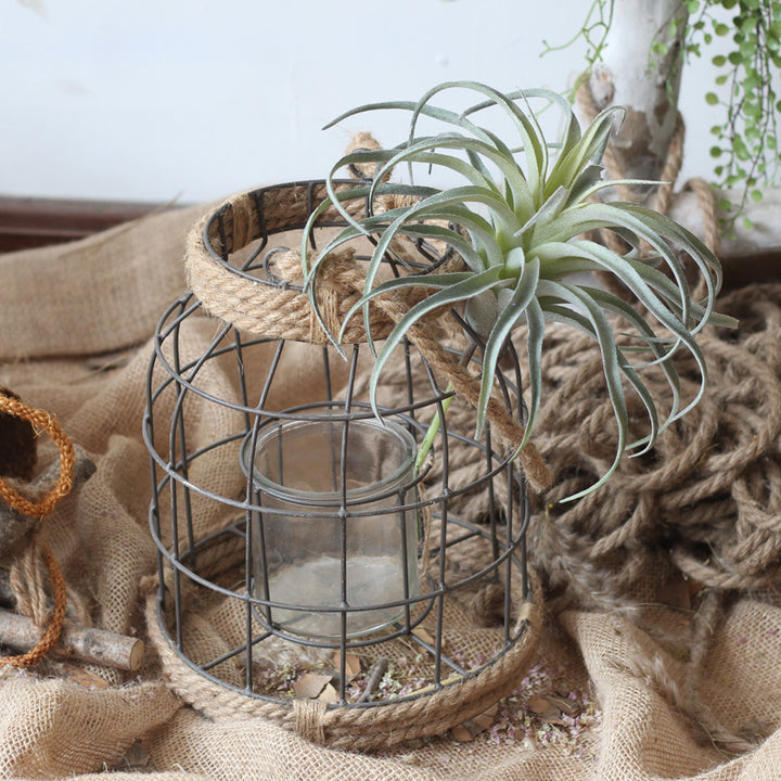 Decorative Lantern