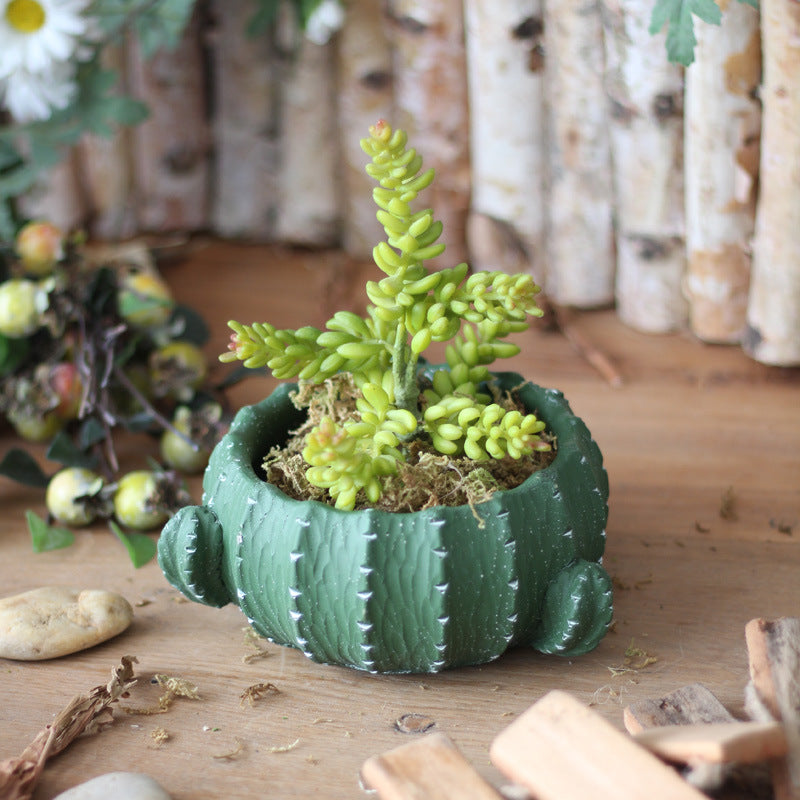 Decorative flower pot in cactus shape