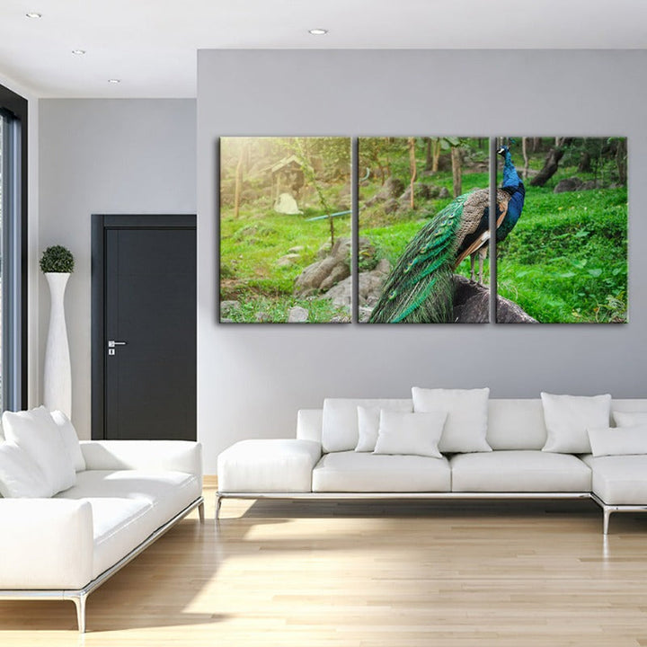 Dignified Sunlit Peacock-Canvas Wall Art Painting 3 Pieces