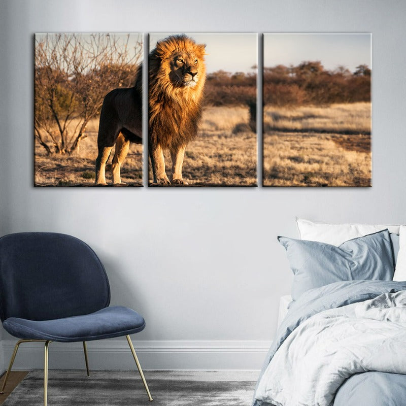 Majestic Lion Bathed In Sunlight-Canvas Wall Art Painting 3 Pieces