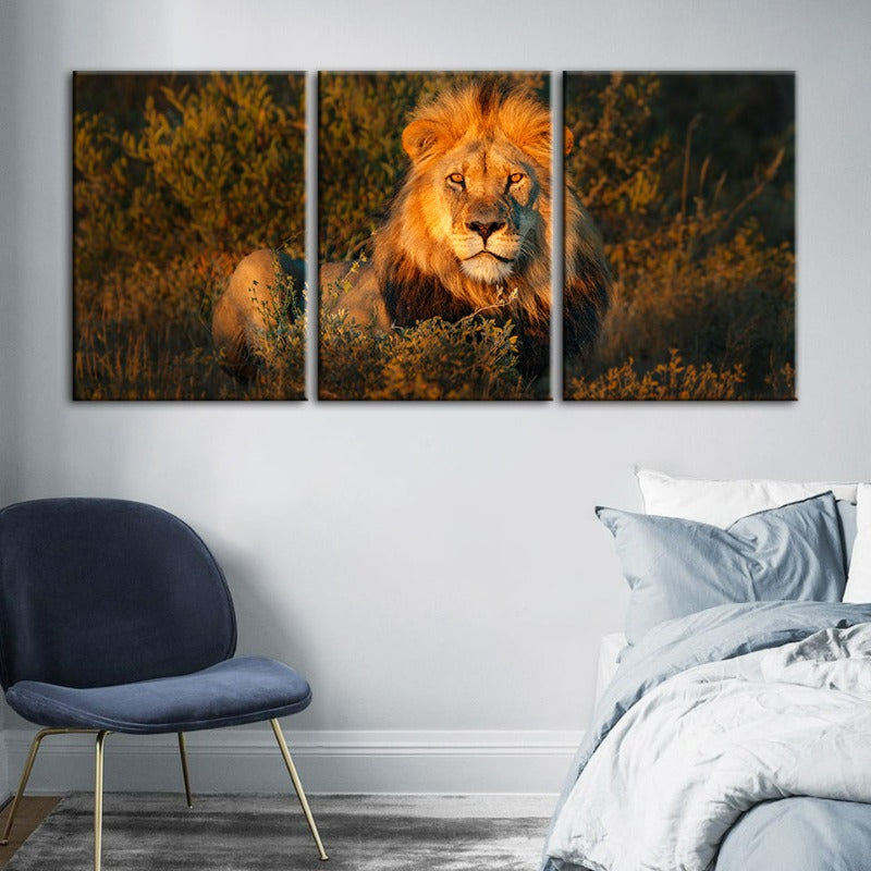 Divine Sunset Lion-Canvas Wall Art Painting 3 Pieces