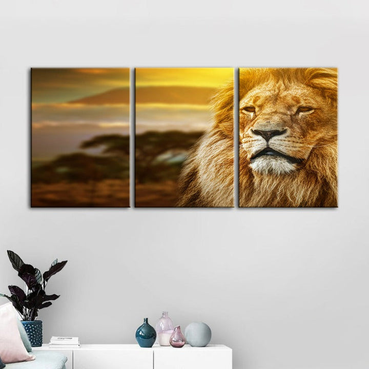 Unamused Lion-Canvas Wall Art Painting 3 Pieces