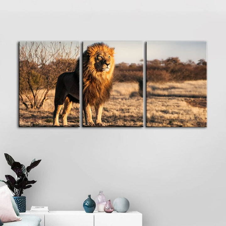 Majestic Lion Bathed In Sunlight-Canvas Wall Art Painting 3 Pieces