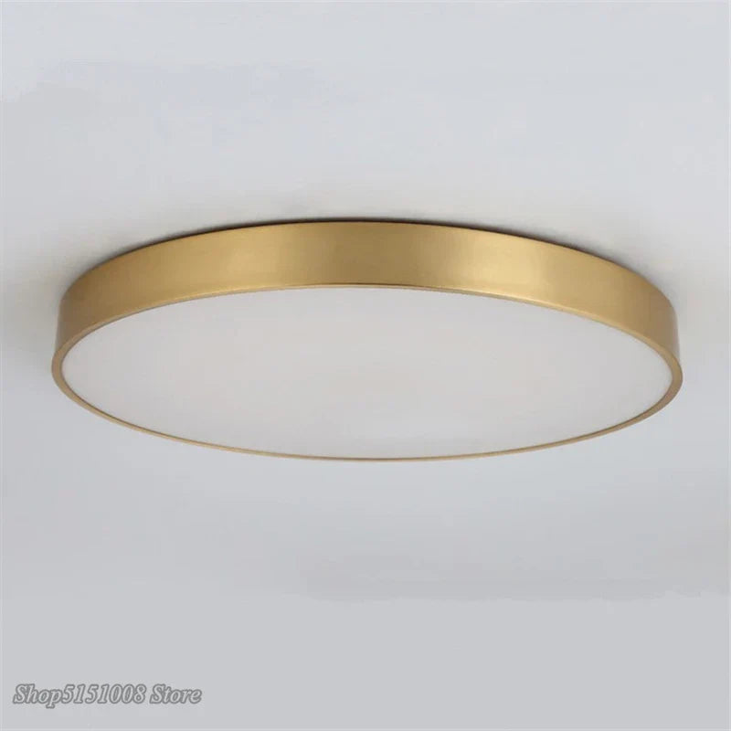 Modern Gold Acrylic Ceiling Light - Ultra-thin Surface LED Ceiling Lamp for Living Room, Nordic Bedroom Indoor Light Fixtures