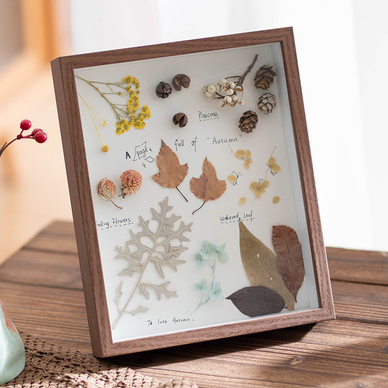 Decorative Framed Butterfly Art for Home