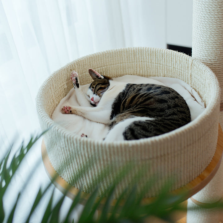 High-quality cat tree with multifunctional resting areas