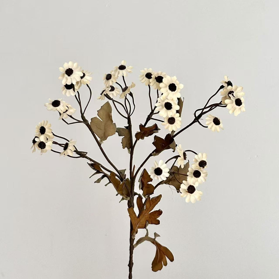 Decorative Dried Flowers