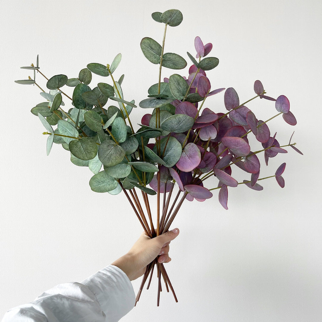 Naturalistic Eucalyptus Stem