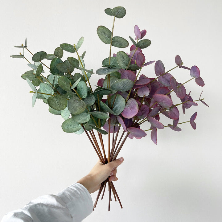Naturalistic Eucalyptus Stem