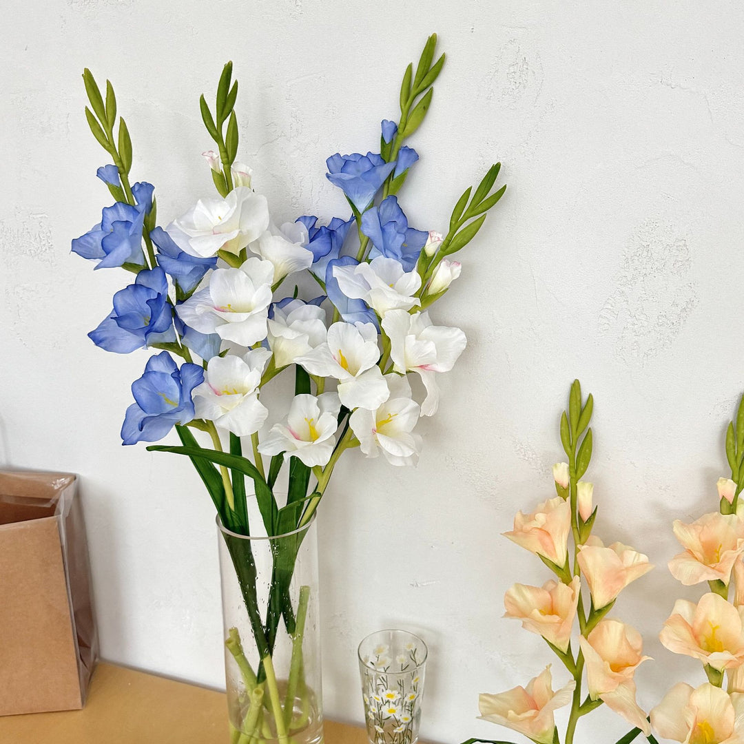 Elegant Gladiolus Floral Stem