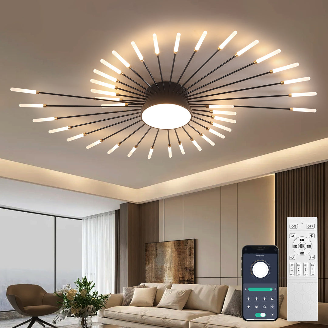 Star Explosion Ceiling Light
