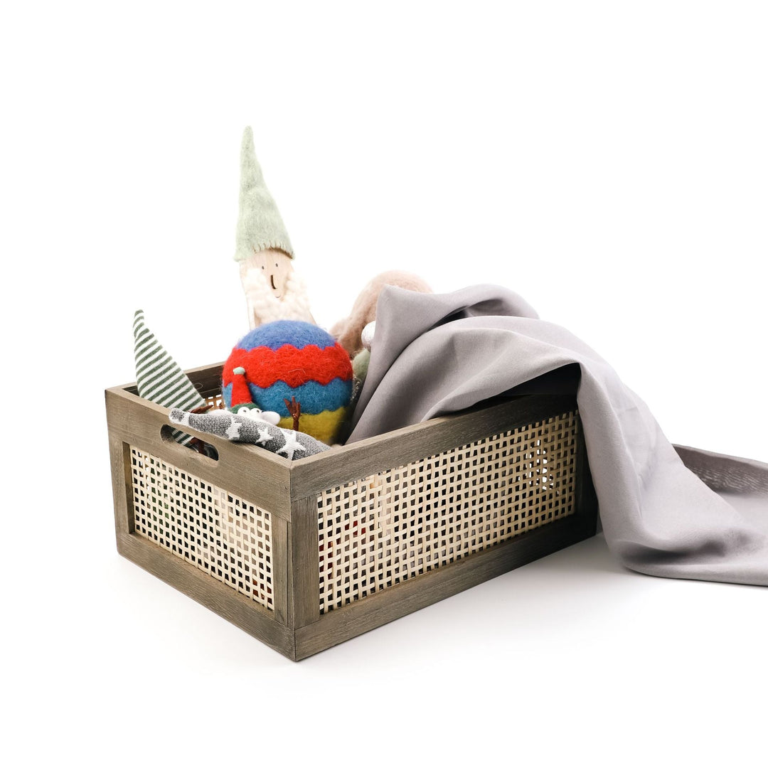 Versatile Storage Organizer
