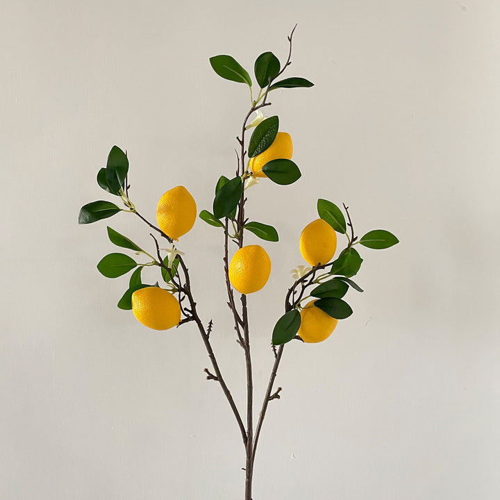Decorative Greenery for Home Interior Decor