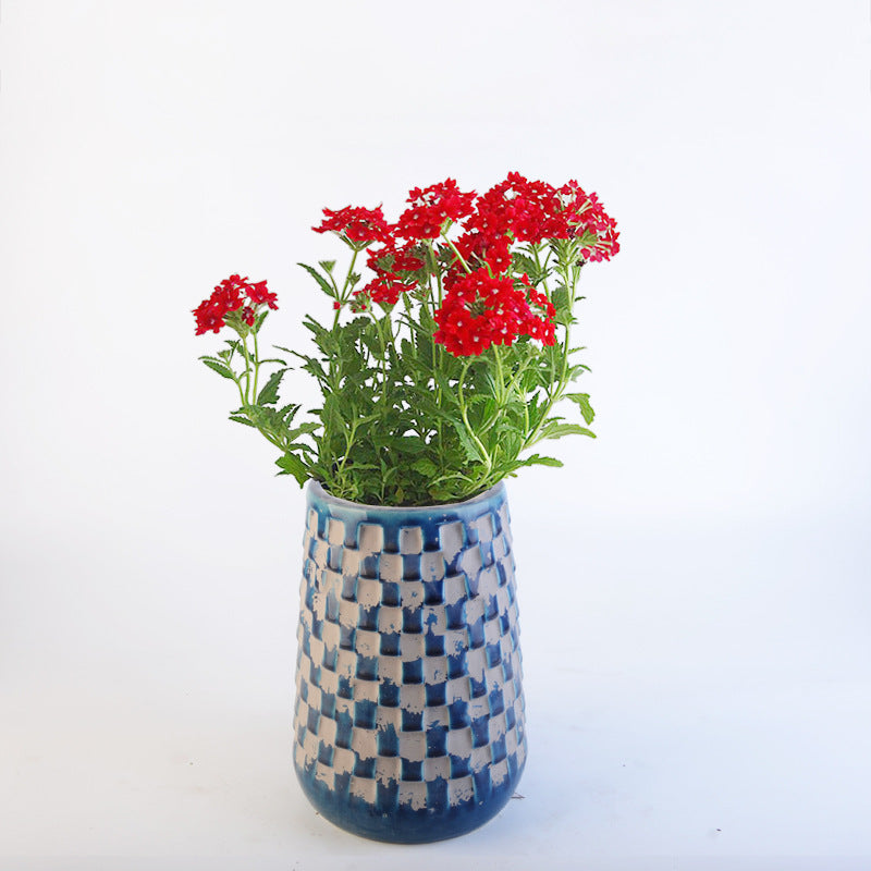 Decorative Flower Pots