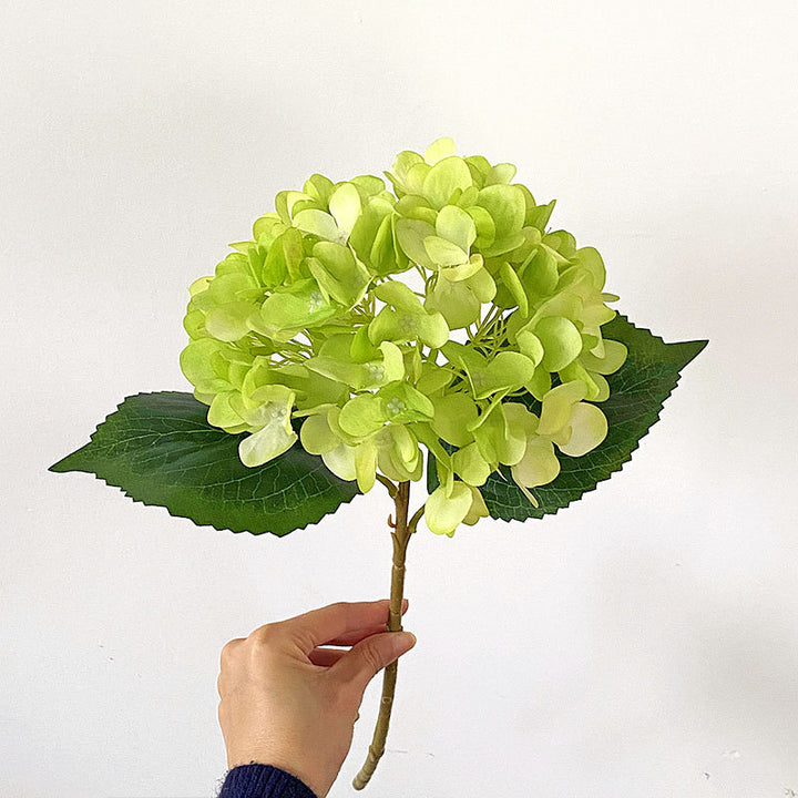 Premium Hydrangea Floral Stem