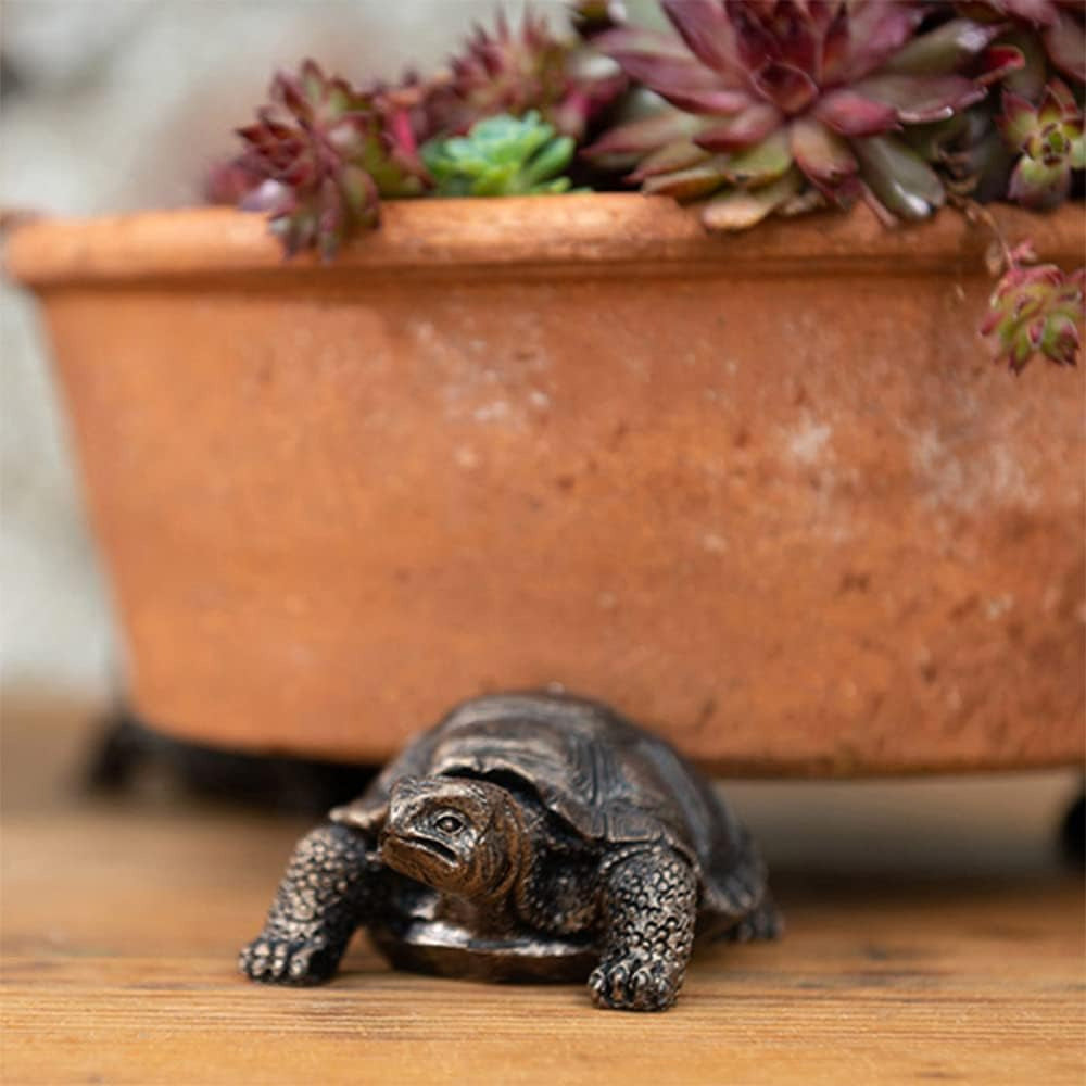 Turtle Figurine Set