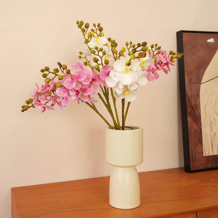 Elegant Orchid Stems