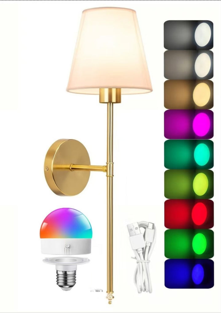 Contemporary Wall Mounted Wall Light