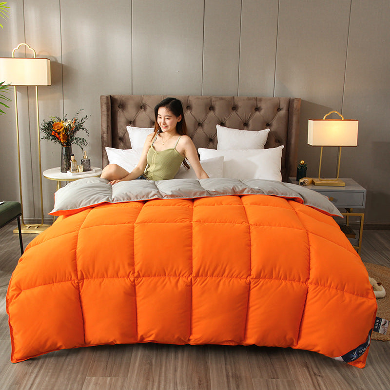 Cozy Comforter Avarnia