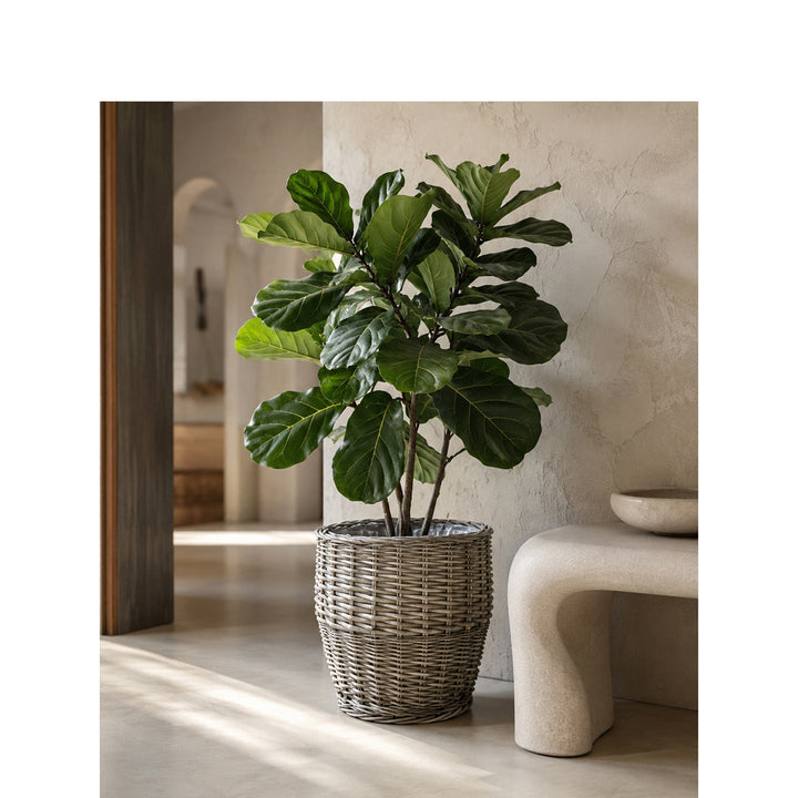 Decorative Laundry Basket