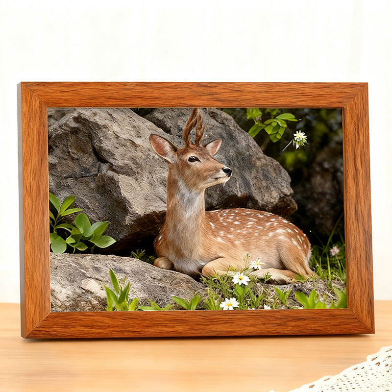 Minimalist Decorative Photo Frame