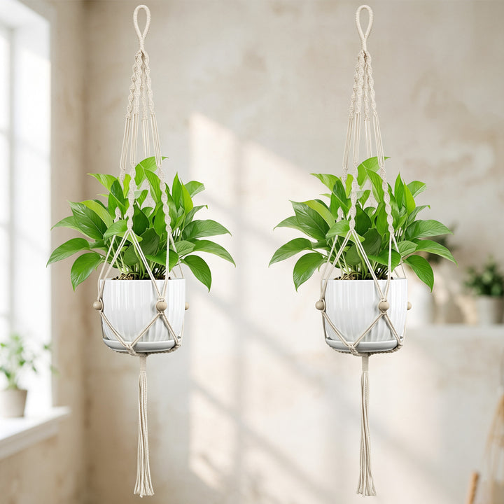 Plant Hanging Pot