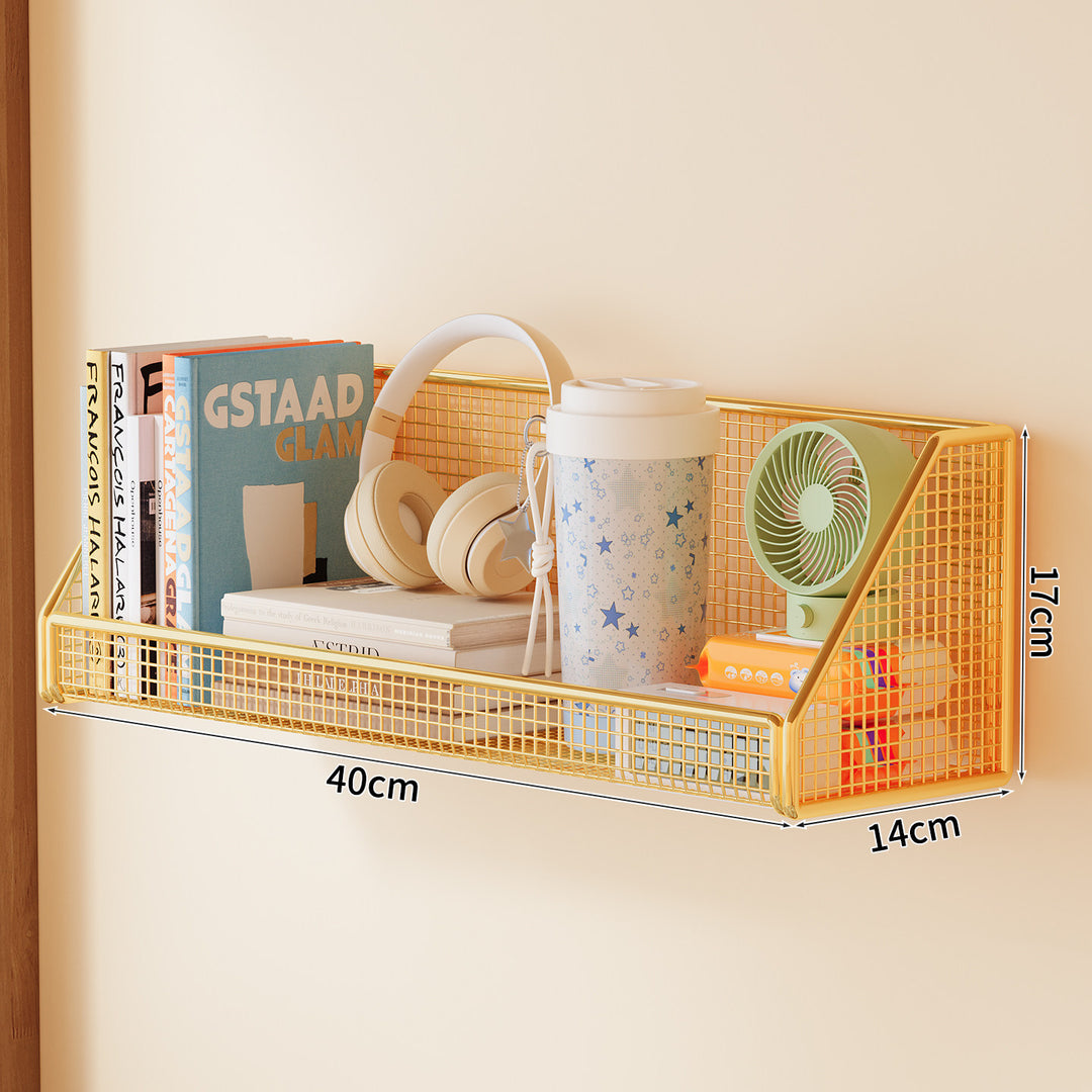 Wall-mounted mesh storage shelf