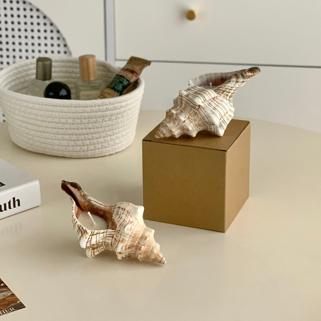 Decorative Shell