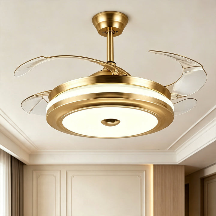 Modern ceiling fan light