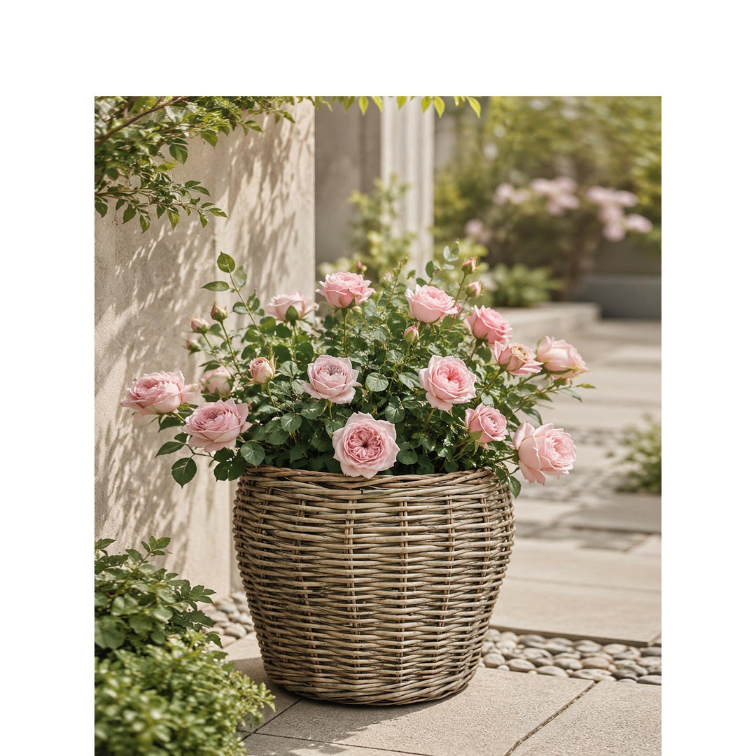 Decorative plant basket with plastic inner bag