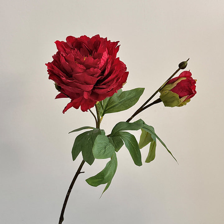 Lifelike Peony Flower Stem